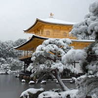 Сад храма Кинкакудзи (Золотой павильон) в Киото