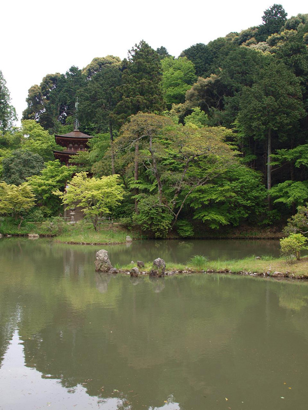 Японский сад. Сад монастыря Дзёруридзи в Киото 