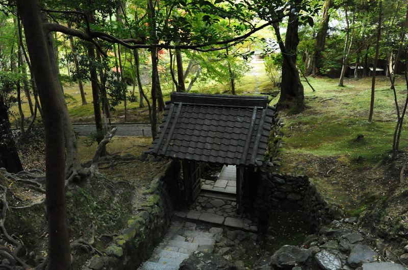 Японский сад. Сад мхов Сайходзи в Киото. Saiho-ji