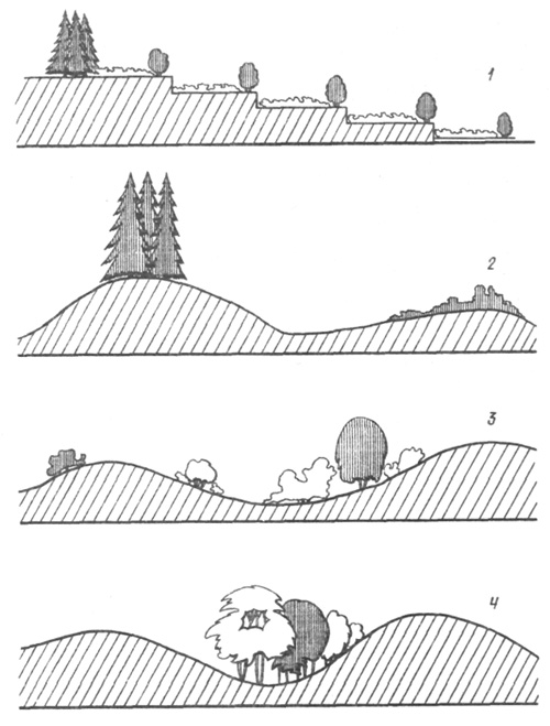 Примеры использования растений с учетом рельефа