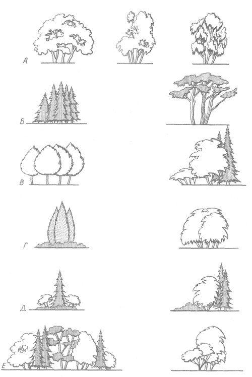 Группа деревьев 7. Эскиз древесной группы из 3-х видов древесных растений. Композиция древесно кустарниковых насаждений рисунок. Схема древесно кустарниковых насаждений. Пейзажные группы деревьев и кустарников.