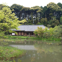 Сад монастыря Дзёруридзи в Киото