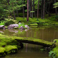 Сад мхов Сайходзи в Киото