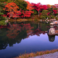Сад храма Тэнрюдзи в Киото