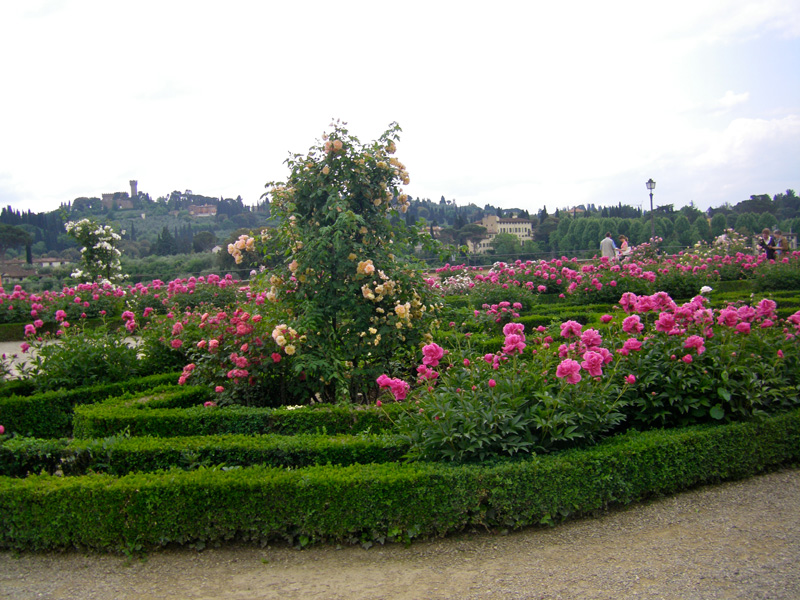 Сады Боболи. Giardino di Boboli
