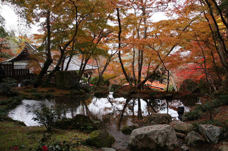 Японский сад. Сад «Четырех Времен Года» Самбоин. Монастырский комплекс Дайгодзи в Киото. Daigoji