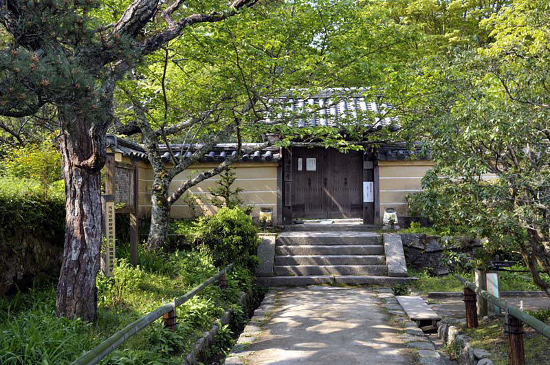 Японский сад. Сад монастыря Дзёруридзи в Киото 
