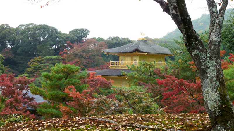 Японский сад. Сад храма Кинкакудзи (Золотой павильон) в Киото. Kinkaku-ji