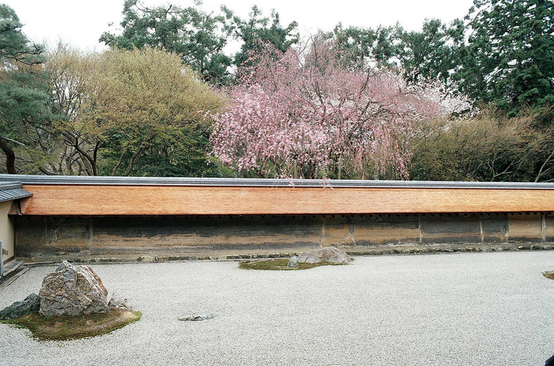 Японский сад. Сад храма Рёандзи в Киото. Ryoan-ji