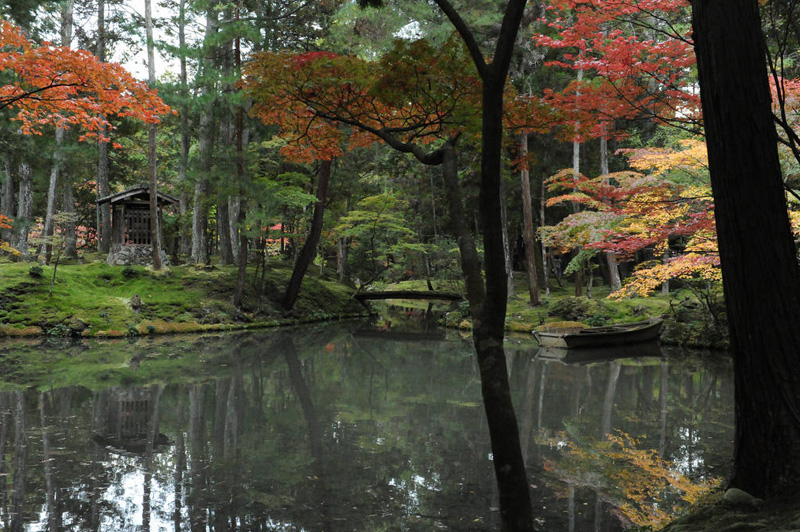 Японский сад. Сад мхов Сайходзи в Киото. Saiho-ji