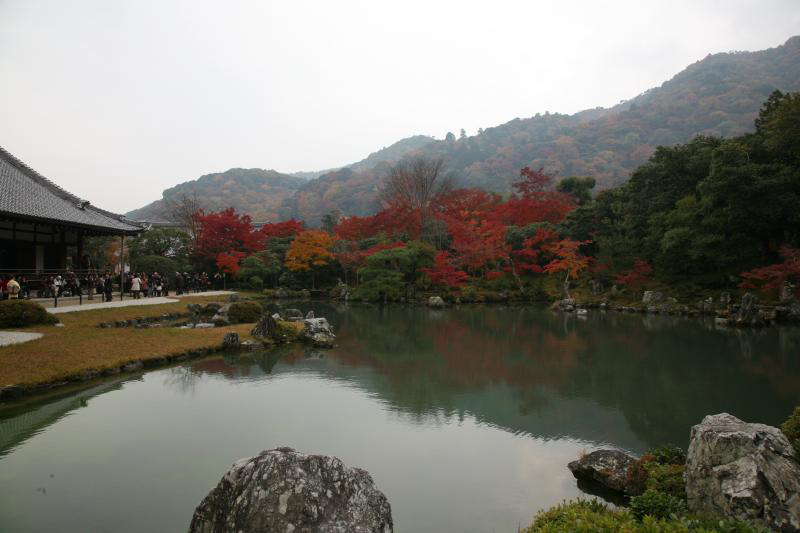 Японский сад. Сад храма Тэнрюдзи в Киото. Tenryu-ji