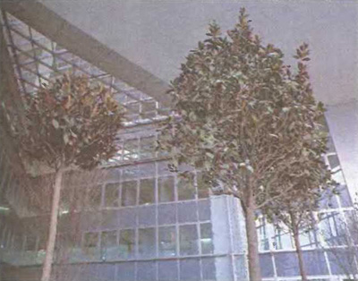 Архитектор Норманн Фостер и студия «Foster and Partners», высотное здание «Commerzbank», 1997. Франкфурт-на-Майне, Германия