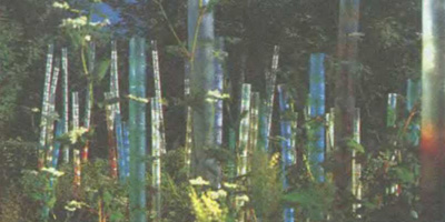 Лилиана Мольта, Жан-Кристофер Денис, «Идея», 1999. Международный Садовый фестиваль на землях замка Шомон-на-Луаре, Франция
