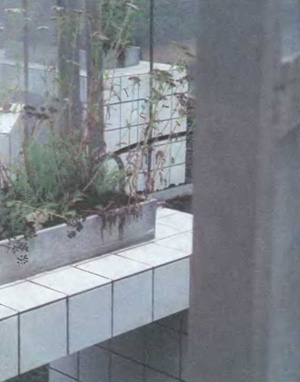 «Реанимация», 2003. Садовый фестиваль на землях замка Шомон-на-Луаре, Франция