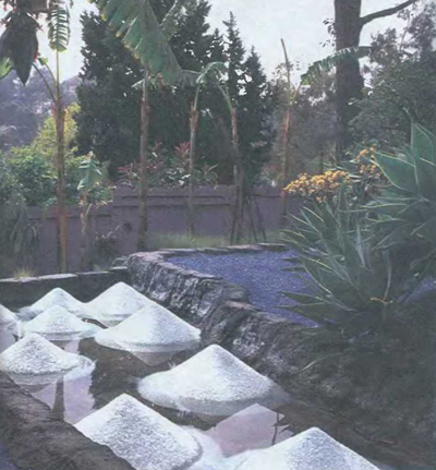 Архитектор Энди Као, «Сад Эко-парк», Лос-Анджелес, США
